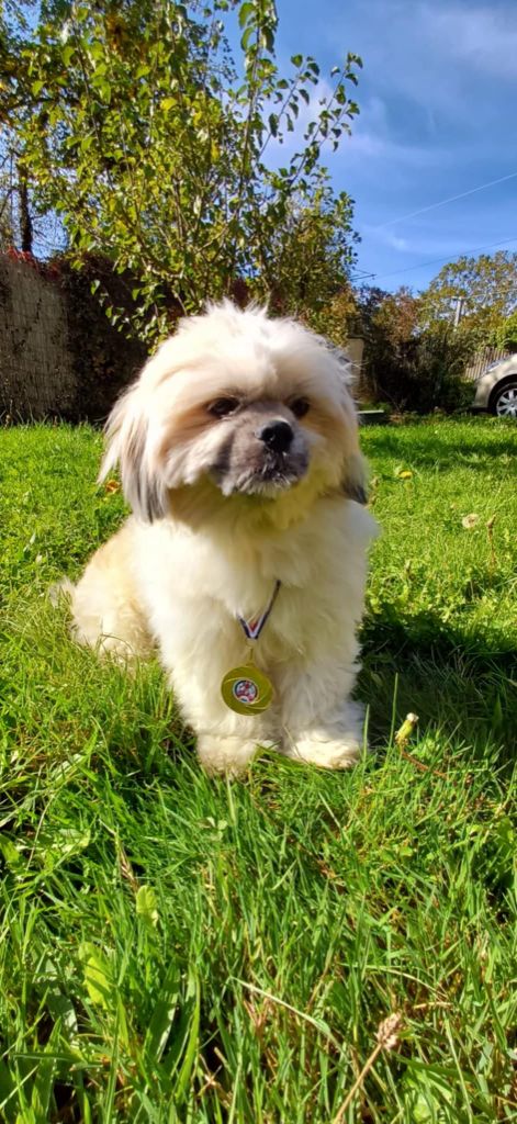 Ulysse Des Coeurs Passionnés De L'Etang