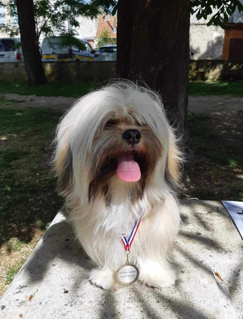 Ridley de dame nature